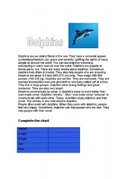 English Worksheet: Dolphins