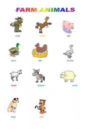 English Worksheet: farm animals