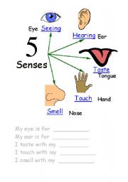 English Worksheet: Senses