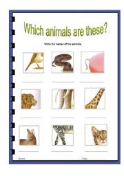 English Worksheet: what animals are these?