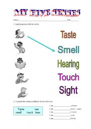 English Worksheet: my five senses