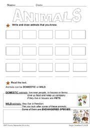 English Worksheet: wild and domestic animals