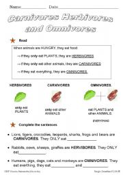 English Worksheet: What do animals eat?