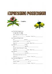English Worksheet: Expressing Possession