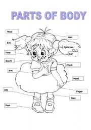 English Worksheet: Parts of Body