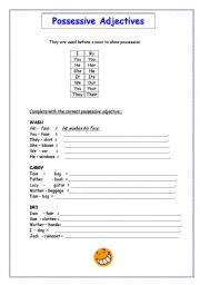 English Worksheet: Possessive adjectives