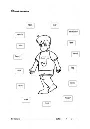 English Worksheet: Body Parts