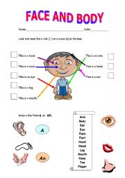 English Worksheet: Face and body