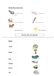 English Worksheet: Phonics exercises