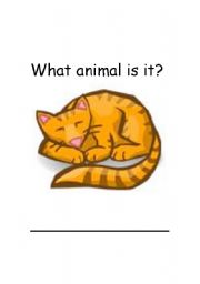 English worksheet: Cat