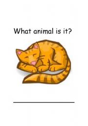 English Worksheet: Cat