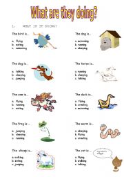 English Worksheet: what are these animals doing?