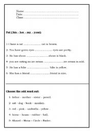English Worksheet: Grammar