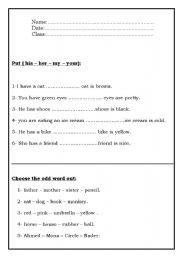 English worksheet: Grammar