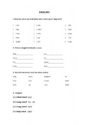 English worksheet: Grammar exercises