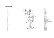 English worksheet: Parts of the body