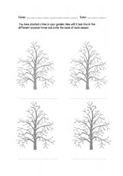 English Worksheet: Seasons