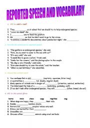English Worksheet: Reported Speech and Vocabulary
