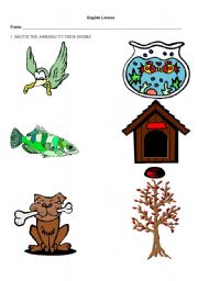 English Worksheet: ANIMALS AND THEIR HOMES