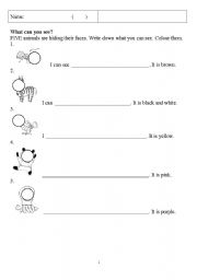 English Worksheet: What can you see?