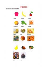 English Worksheet: fruits