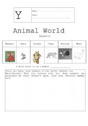 English worksheet: Animal world