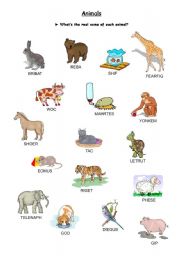 English Worksheet: Animals