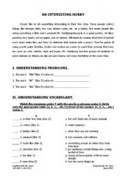 English Worksheet: An Interesting Hobby