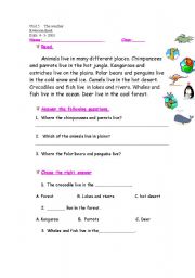 English Worksheet: read and write