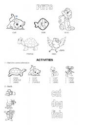 English Worksheet: Pets