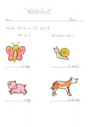 English worksheet: verb to be