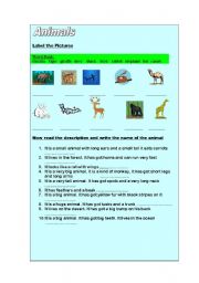 English Worksheet: Animals Descriptions