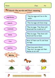 English Worksheet: Matching the animal types.