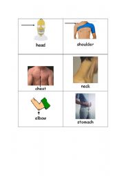English worksheet: Body Parts Page 1