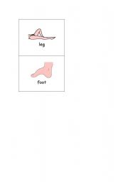 English worksheet: Body Parts Page 2