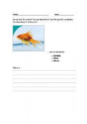 English worksheet: Writing about animals