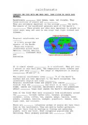 English Worksheet: Rainforests