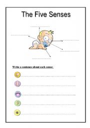 English Worksheet: five senses