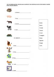 English Worksheet: revision of some animals and guessing the animal sound