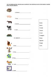 English worksheet: revision of some animals and guessing the animal sound