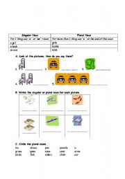 English Worksheet: singular and plural nouns