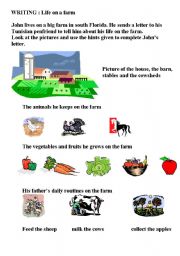 English Worksheet: life on a farm