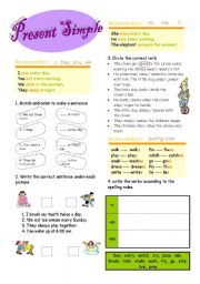 English Worksheet: present simple