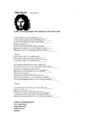 English worksheet: Song  Wild World