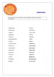 English Worksheet: Homonyms