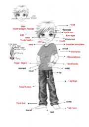 English Worksheet: Body parts