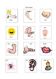 English worksheet: Body Parts