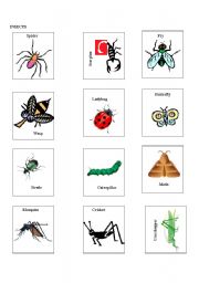 English Worksheet: Insect cards for bingo