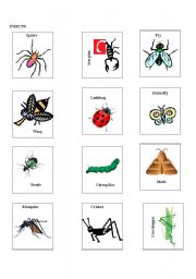 English worksheet: Insect cards for bingo