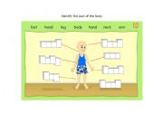 English Worksheet: Parts of the Body